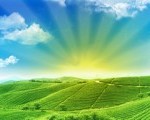 This Week in Content Farms